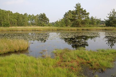 BUITEN BEELD Foto: 209183