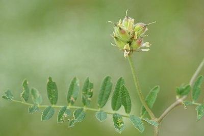 BUITEN BEELD Foto: 209244