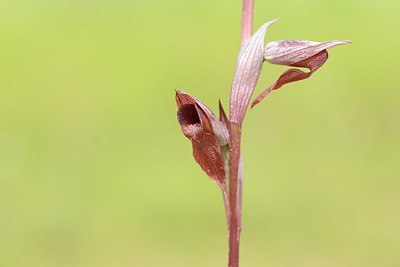 BUITEN BEELD Foto: 209405