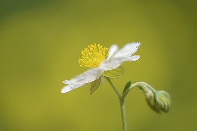 BUITEN BEELD Foto: 209453