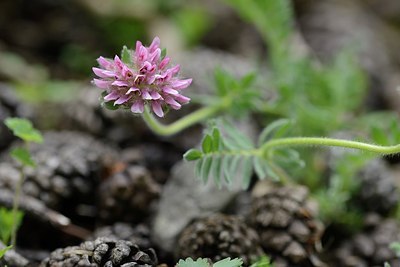 BUITEN BEELD Foto: 209465