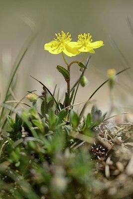 BUITEN BEELD Foto: 209495