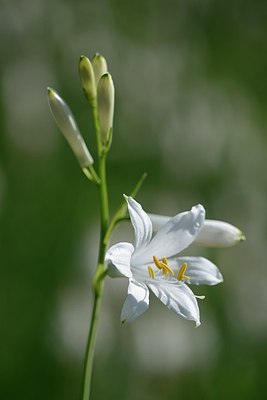 BUITEN BEELD Foto: 209562