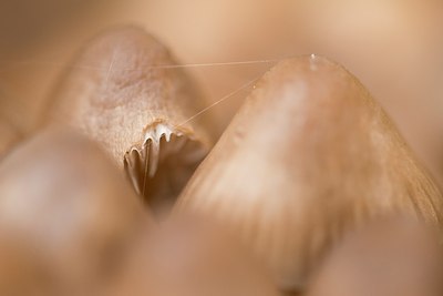 BUITEN BEELD Foto: 209602