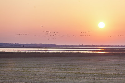 BUITEN BEELD Foto: 209619