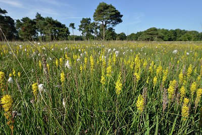 BUITEN BEELD Foto: 209655