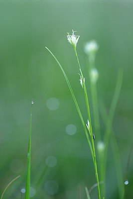 BUITEN BEELD Foto: 209668