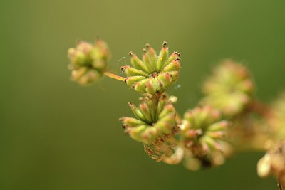 BUITEN BEELD Foto: 209682
