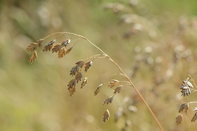 BUITEN BEELD Foto: 209686