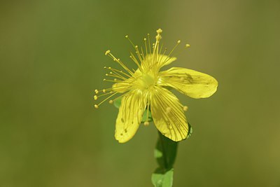 BUITEN BEELD Foto: 209688