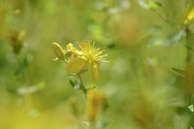 BUITEN BEELD Foto: 209689