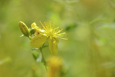 BUITEN BEELD Foto: 209690
