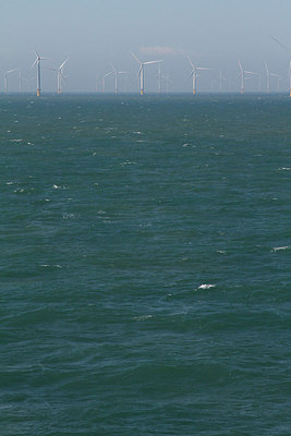 BUITEN BEELD Foto: 209713