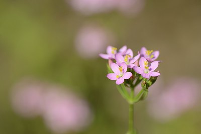 BUITEN BEELD Foto: 209737