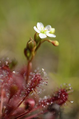 BUITEN BEELD Foto: 209740