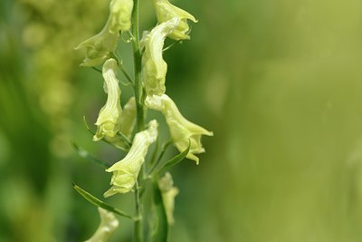 BUITEN BEELD Foto: 209794