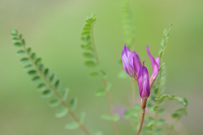 BUITEN BEELD Foto: 209838