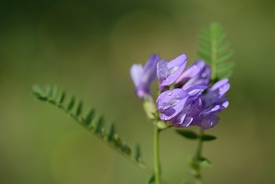 BUITEN BEELD Foto: 209845