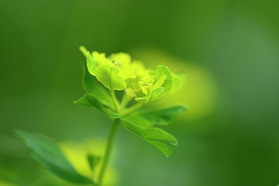 BUITEN BEELD Foto: 209847