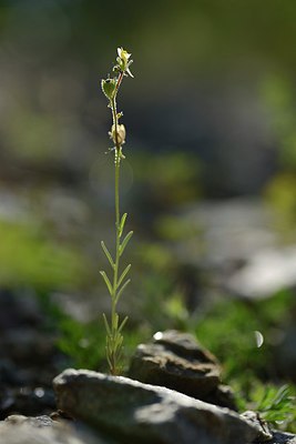 BUITEN BEELD Foto: 209850