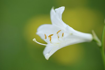BUITEN BEELD Foto: 209874