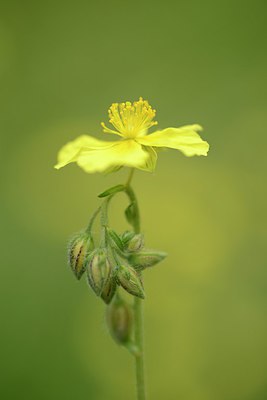 BUITEN BEELD Foto: 209886