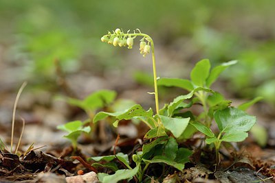 BUITEN BEELD Foto: 209997
