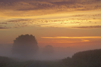 BUITEN BEELD Foto: 210050