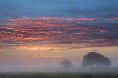 BUITEN BEELD Foto: 210052