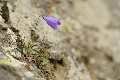 BUITEN BEELD Foto: 210063