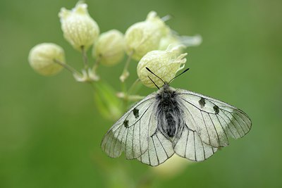 BUITEN BEELD Foto: 210067