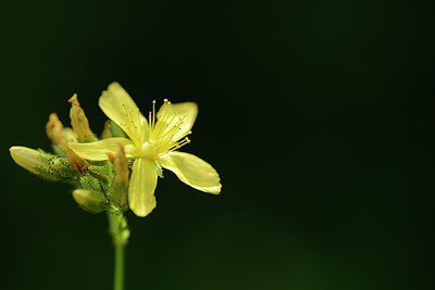 BUITEN BEELD Foto: 210071