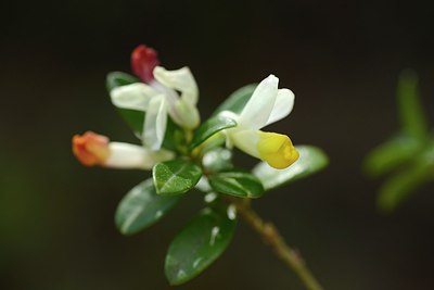 BUITEN BEELD Foto: 210123
