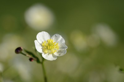 BUITEN BEELD Foto: 210131