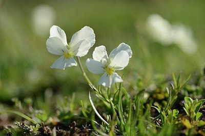 BUITEN BEELD Foto: 210147