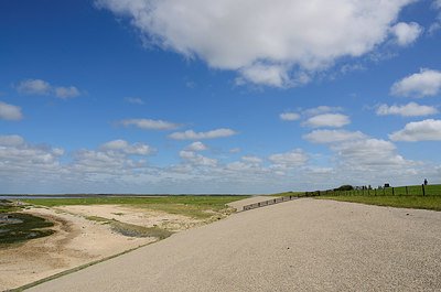 BUITEN BEELD Foto: 210148