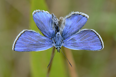 BUITEN BEELD Foto: 210150