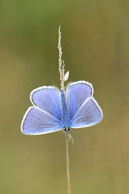 BUITEN BEELD Foto: 210151