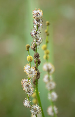 BUITEN BEELD Foto: 210203