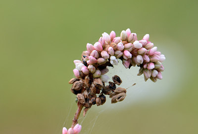 BUITEN BEELD Foto: 210205