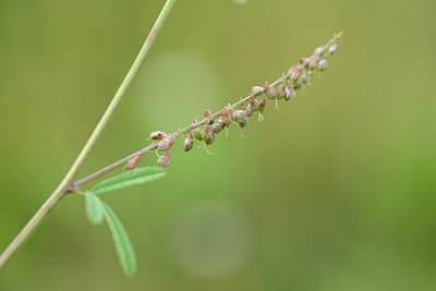 BUITEN BEELD Foto: 210236