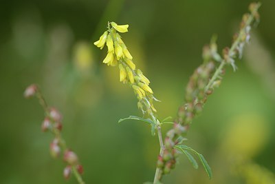 BUITEN BEELD Foto: 210237