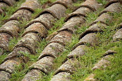 BUITEN BEELD Foto: 210273