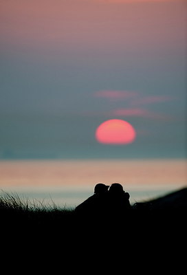 BUITEN BEELD Foto: 210376