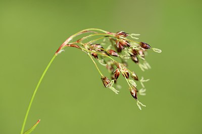 BUITEN BEELD Foto: 210401
