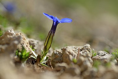BUITEN BEELD Foto: 210411