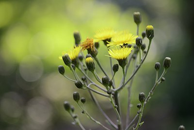 BUITEN BEELD Foto: 210430