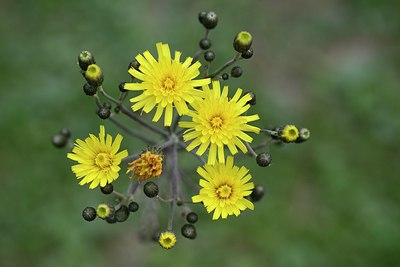 BUITEN BEELD Foto: 210432