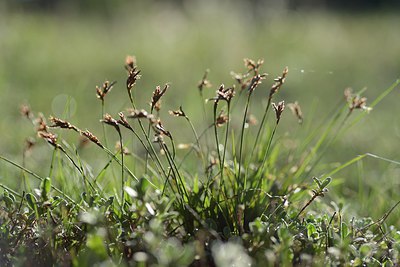 BUITEN BEELD Foto: 210461