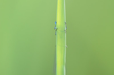 BUITEN BEELD Foto: 210515